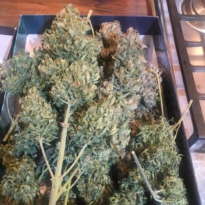 Buy 4 Assed Monkey Online