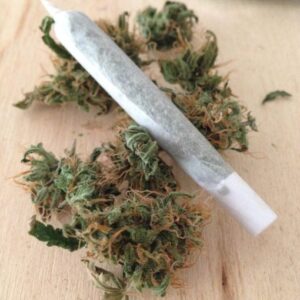 Buy Amnesia Gangster Online