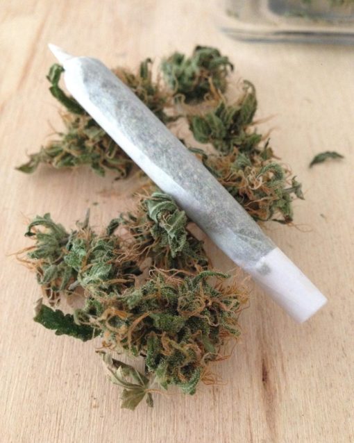 Buy Amnesia Gangster Online