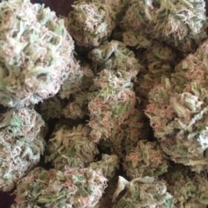 Buy Blackberry Kush Online