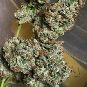 Buy Bruce Banner Online