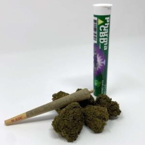 Pharma CBD Delta-8-THC Infused Blackberry Haze Pre-Roll