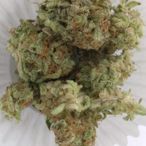 Buy Sensi Star kush Online