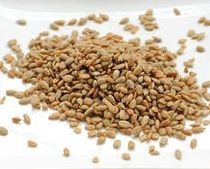 Buy Sensible Seed Mix