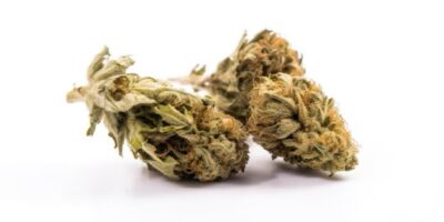 BUY MARIJUANA STRAINS ONLINE EU