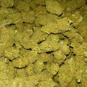 Hydro Green Crack for sale Online