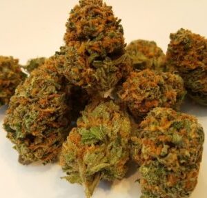 Buy Jedi Kush (Cali Connection) Online