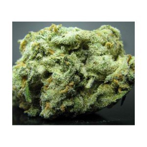 Buy Pineapple Express Strain
