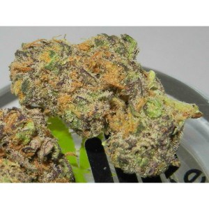 Death Bubba for sale Online