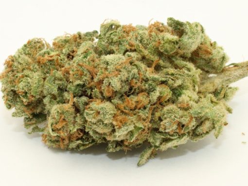 Sour Diesel (DNA Genetics) Online