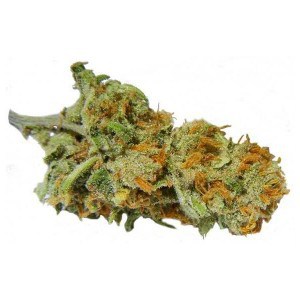 Buy Super Lemon Haze